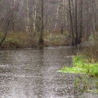 Ноябрьский дождь :: Андрей Снегерёв