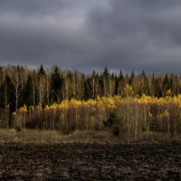 Россия. Осень. :: Сергей Мартьяхин