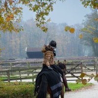 Herbst :: Евгений Сладкевич