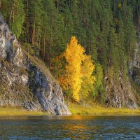 Осень на Южном Урале :: Ольга 