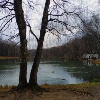 Мои пруды в ноябре :: Андрей Лукьянов