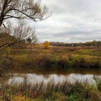 Днепровский берег. :: Милешкин Владимир Алексеевич 