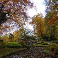 Японский садик в ноябре :: Galina Dzubina