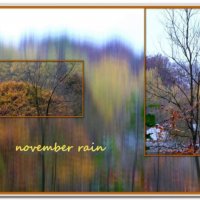 Дождь в ноябре :: Heinz Thorns