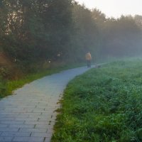 Утро в парке. :: Владимир Безбородов