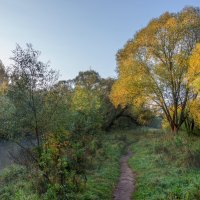 *** :: Владимир Безбородов