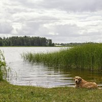 После купания :: Регина 