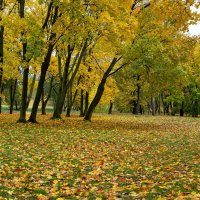 Осень в парке. :: Сергей Татаринов