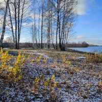 первый тоненький снежок :: Galina 