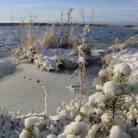 Первый снег :: Ольга 