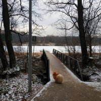 Вижу-вижу: Лебедянский встал :: Андрей Лукьянов