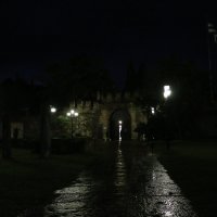 Ночной дождь в старой крепости :: Ольга 