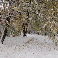 Первый снег в октябре :: Елена Семигина