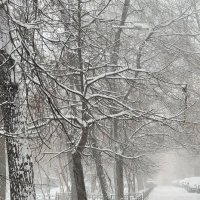 Снег, как туман :: Татьяна 
