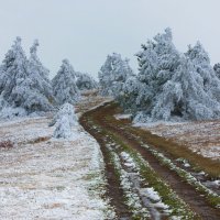 Первый снег на плато Ай-Петри :: Сергей Титов