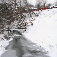 На реке Данилихе. :: Евгений Шафер