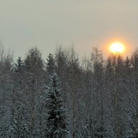 Зимнее солнце.Восход :: Ирина 