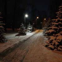 Окончательная ли зима? :: Андрей Лукьянов