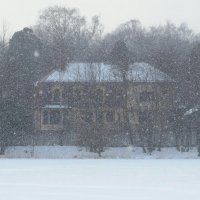 А снег идёт... :: Вера Щукина