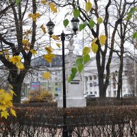 Осень в Кольцовском сквере :: Татьяна 