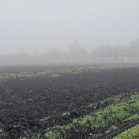 Над полем осенний туман :: Татьяна 