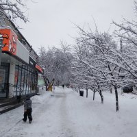 Заснежило.....Городские будни. :: Алена 