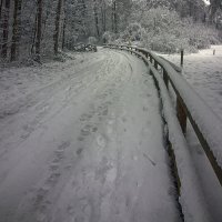 По мокрому снегу :: Андроник Александр 