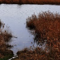 На берегу :: Юрий Гайворонскiий