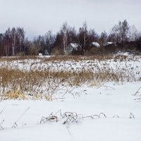 Вот моя деревня :: Дмитрий Балашов