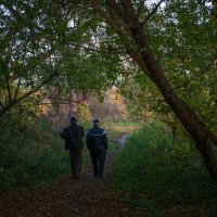 Сельские дорожки... :: Влад Никишин