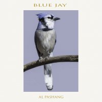 Blue jay :: Al Pashang 