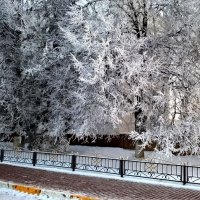 Зимним морозным днем :: Елена Семигина