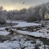 Вечер. 02.12.2023 :: Елена Галата