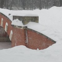 Горбатый мост, парк Кузьминки :: Тамара Жарова 
