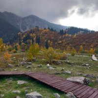 Almaty :: Murat Bukaev 