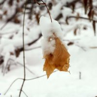 И чей-то проявился лик в снегу.. :: Андрей Заломленков
