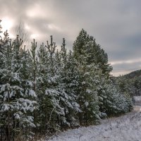 Начало зимы :: Наталья Димова