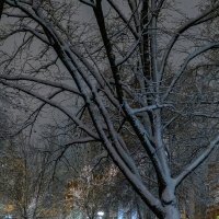 Первый день зимы :: Сергей Шатохин 