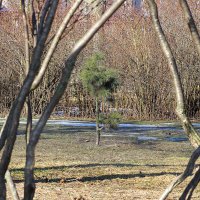 выжить в городе :: Олег Лукьянов