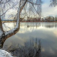 На пруду березка стояла :: Вадим Ефимчик