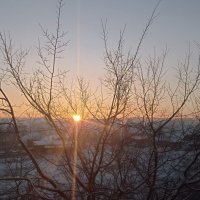 морозный восход :: Ольга Конькова
