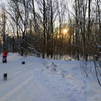 Ну-ка, солнце, ярче брызни! :: Андрей Лукьянов