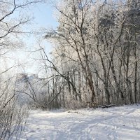 Морозное дыхание декабря... :: Андрей Заломленков
