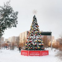 Праздничная атмосфера в нашем парке. :: Татьяна Помогалова