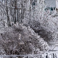 Зима.... :: Ирина Соловьёва