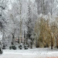 Зима в городе. :: Милешкин Владимир Алексеевич 