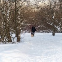 Прогулка в парке :: Валерий Иванович