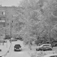 Снегопад :: Михаил Кузнецов