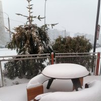 Снегопад :: nika555nika Ирина