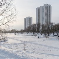 Замёрзший пруд :: Валерий Иванович